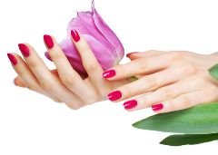 Beauty Treatments. manicure red flower
